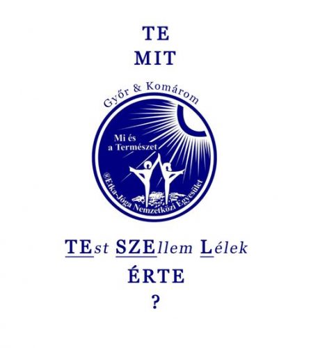 TeMi logo